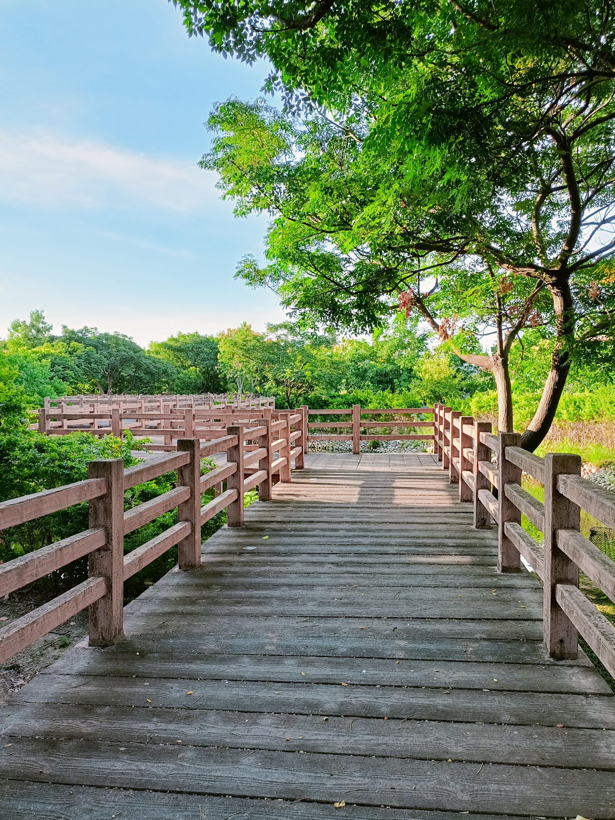 湖南村生態戰車公園木棧道景觀步道