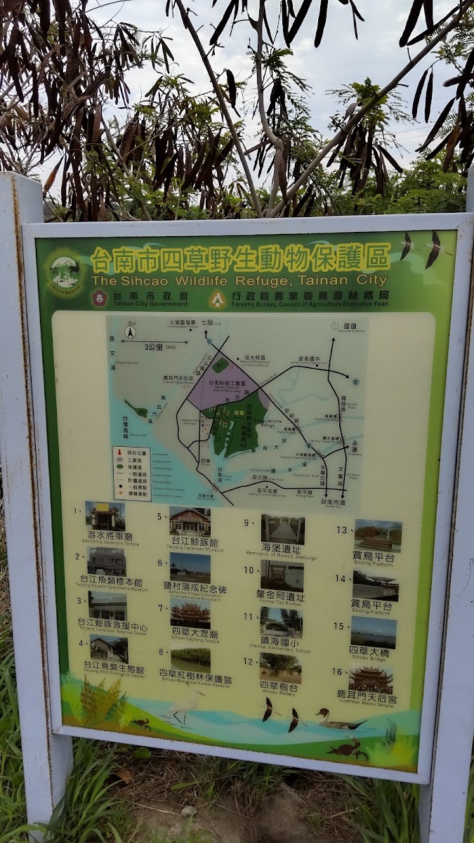 四草野生動物保護區廣闊濕地,台灣重要水鳥棲息地