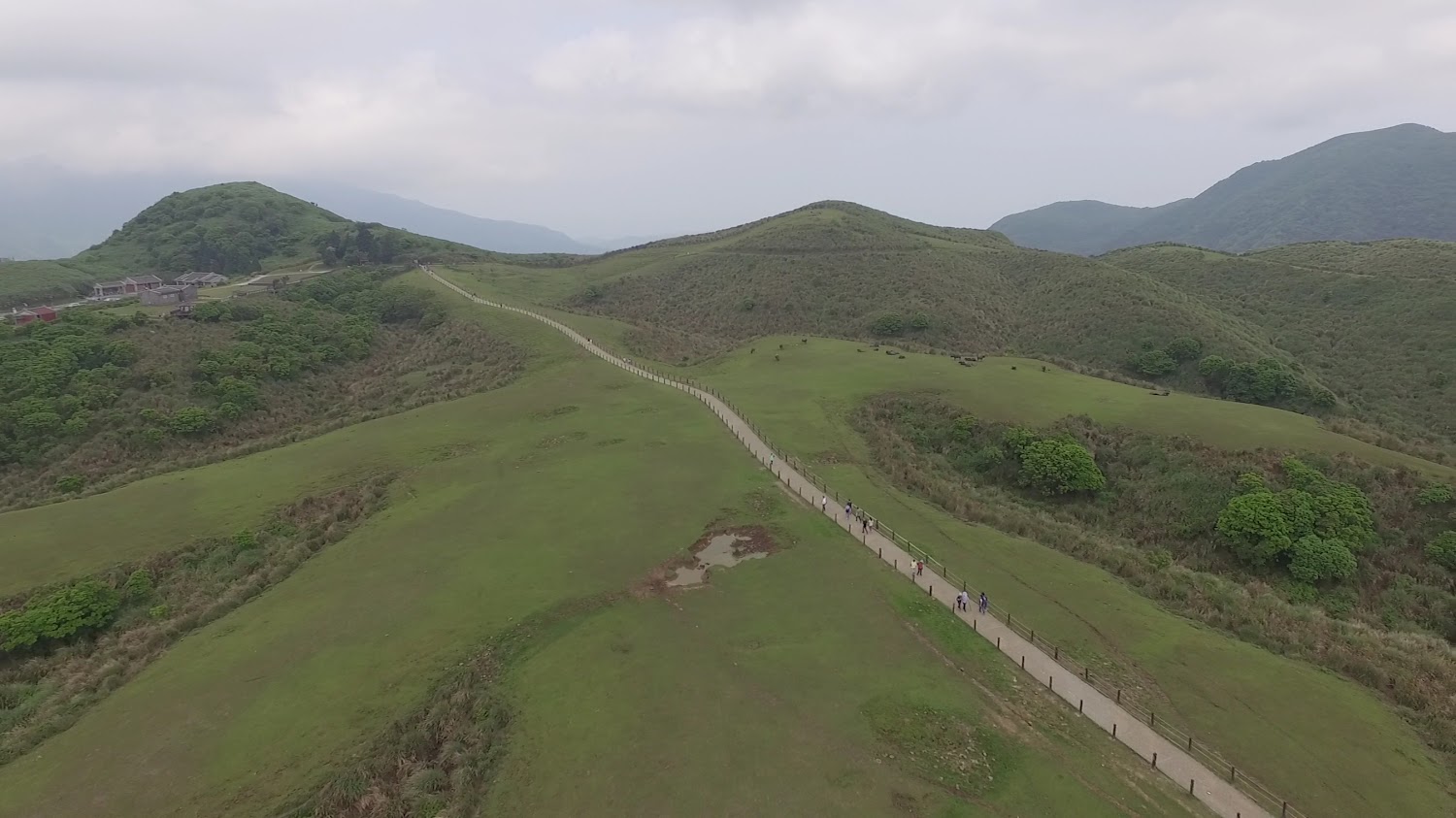小路穿越綠色山丘草原與遠方山脈