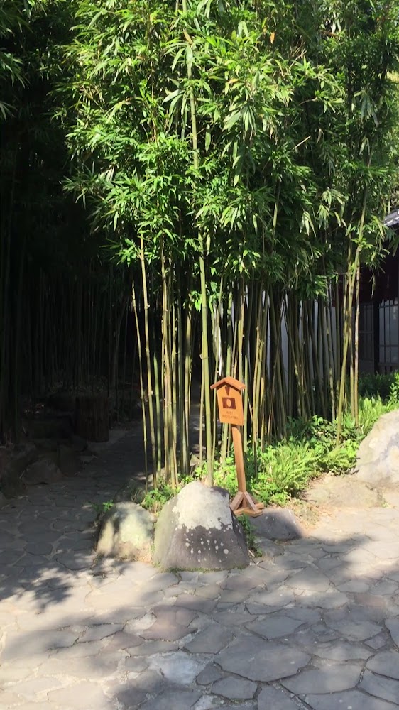 豆留森林竹林步道