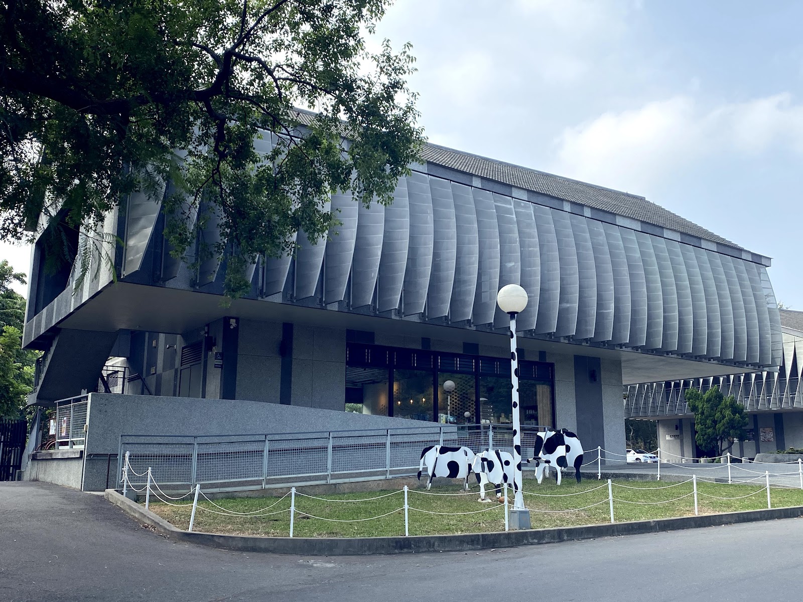 東海大學校園現代主義建築外觀，波浪形灰色外牆，前方草坪有黑白乳牛雕塑