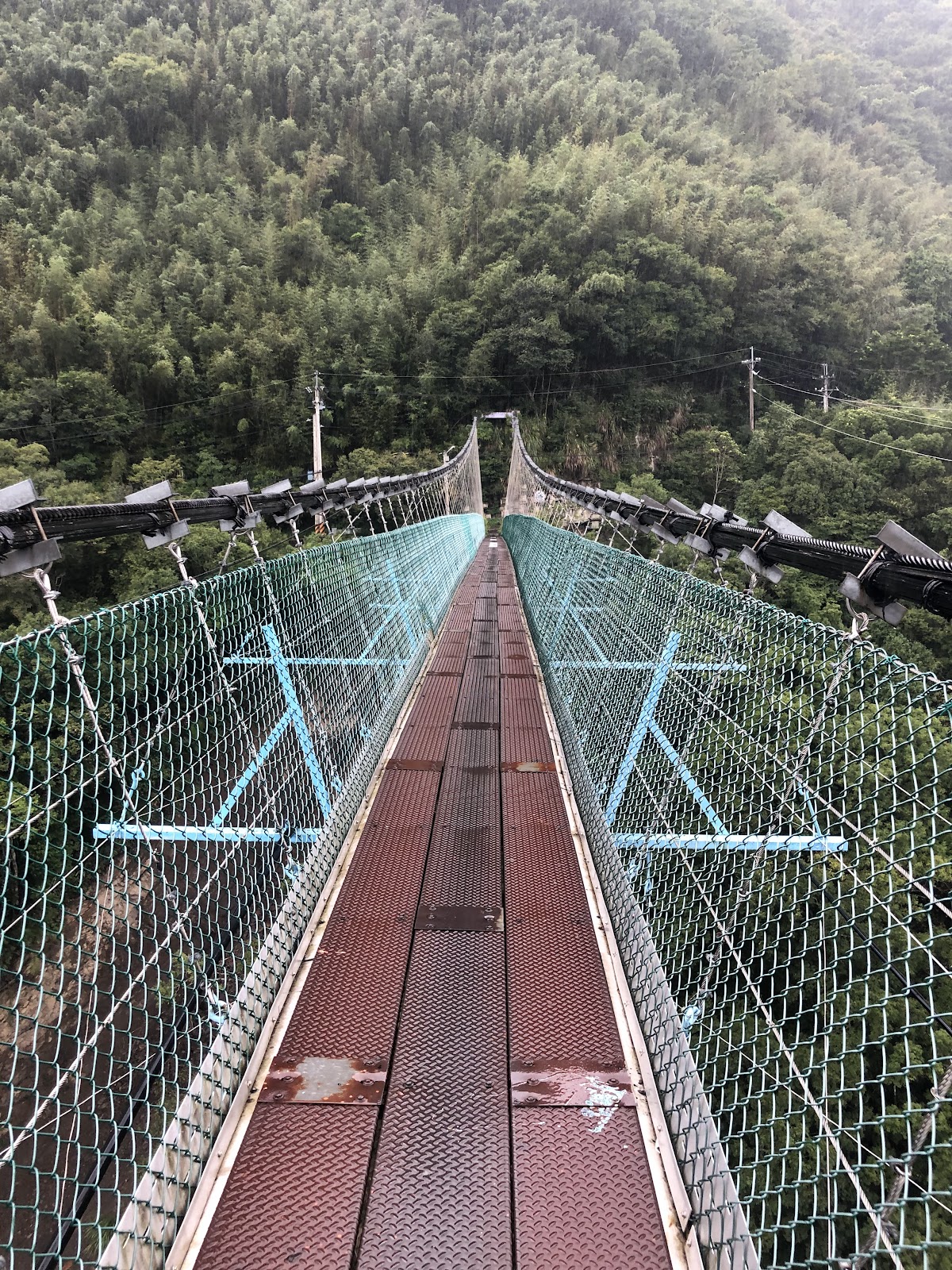 彌榮吊橋木棧橋面與鋼索延伸至對岸山林