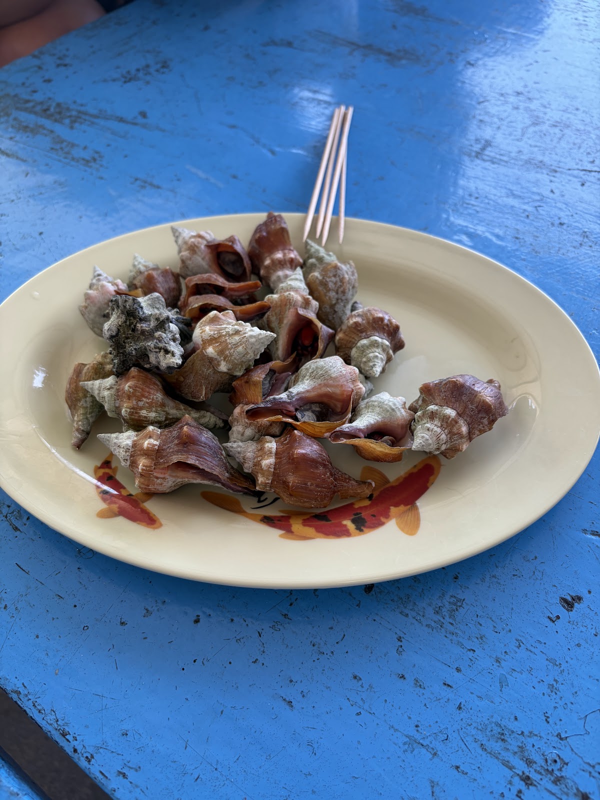 白盤盛裝的貝類與螺類料理，澎湖鳥嶼在地海鮮