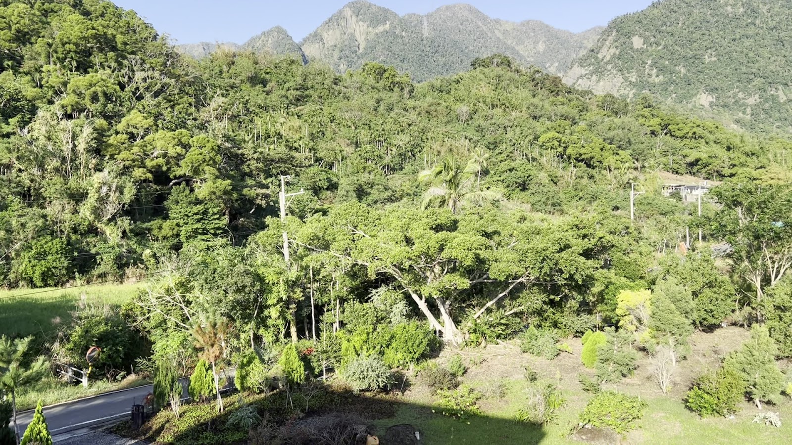 金剛大道旁濃密的熱帶山林景觀,山脈層疊、植被茂密,晴空下顯得格外清翠