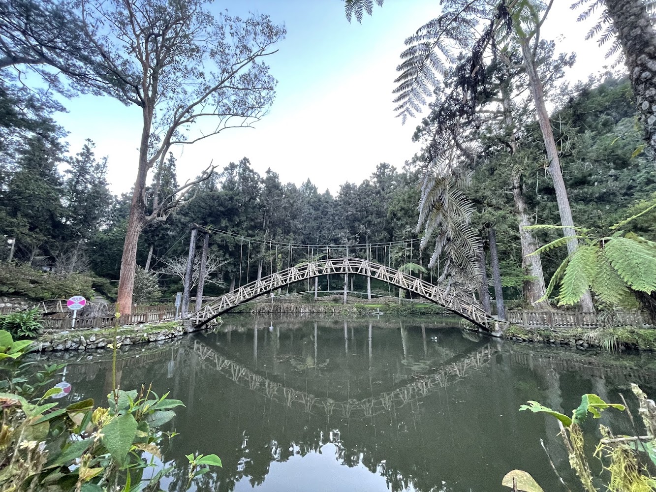 木造吊橋跨越池塘的溪頭景色