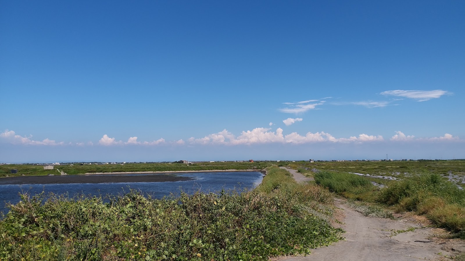 大城濕地濁水溪出海口步道,彰化大城一日遊景點