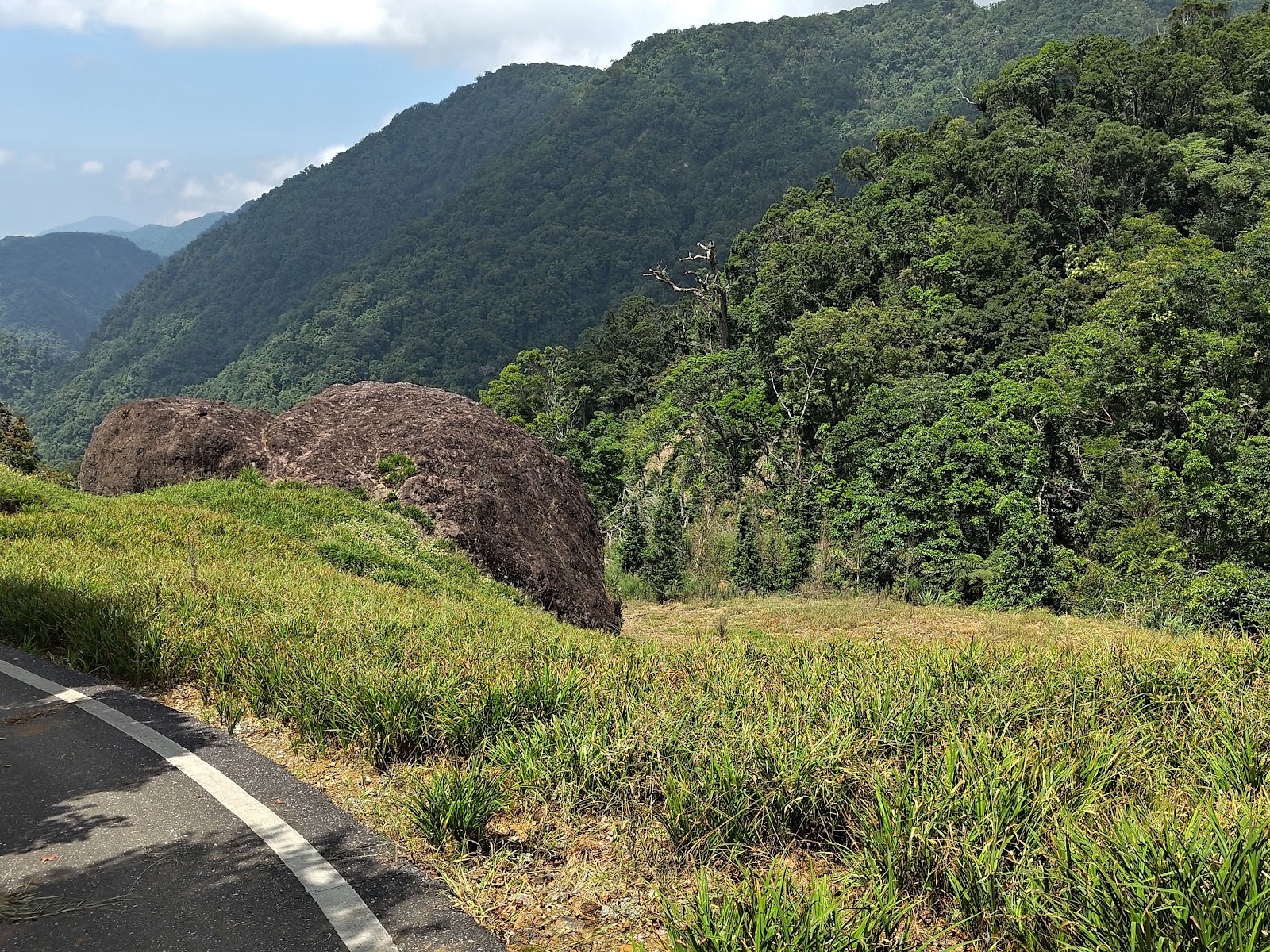 赤科山山路旁的巨岩,翠綠山林環繞,通往三巨石方向