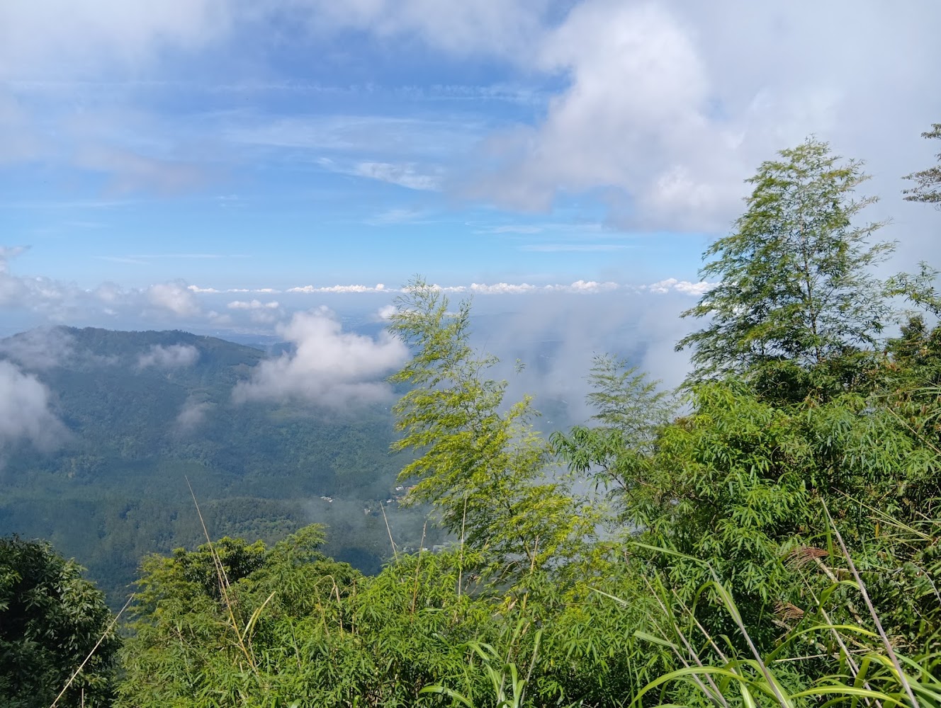 溪頭周邊層層山巒與藍天白雲景觀