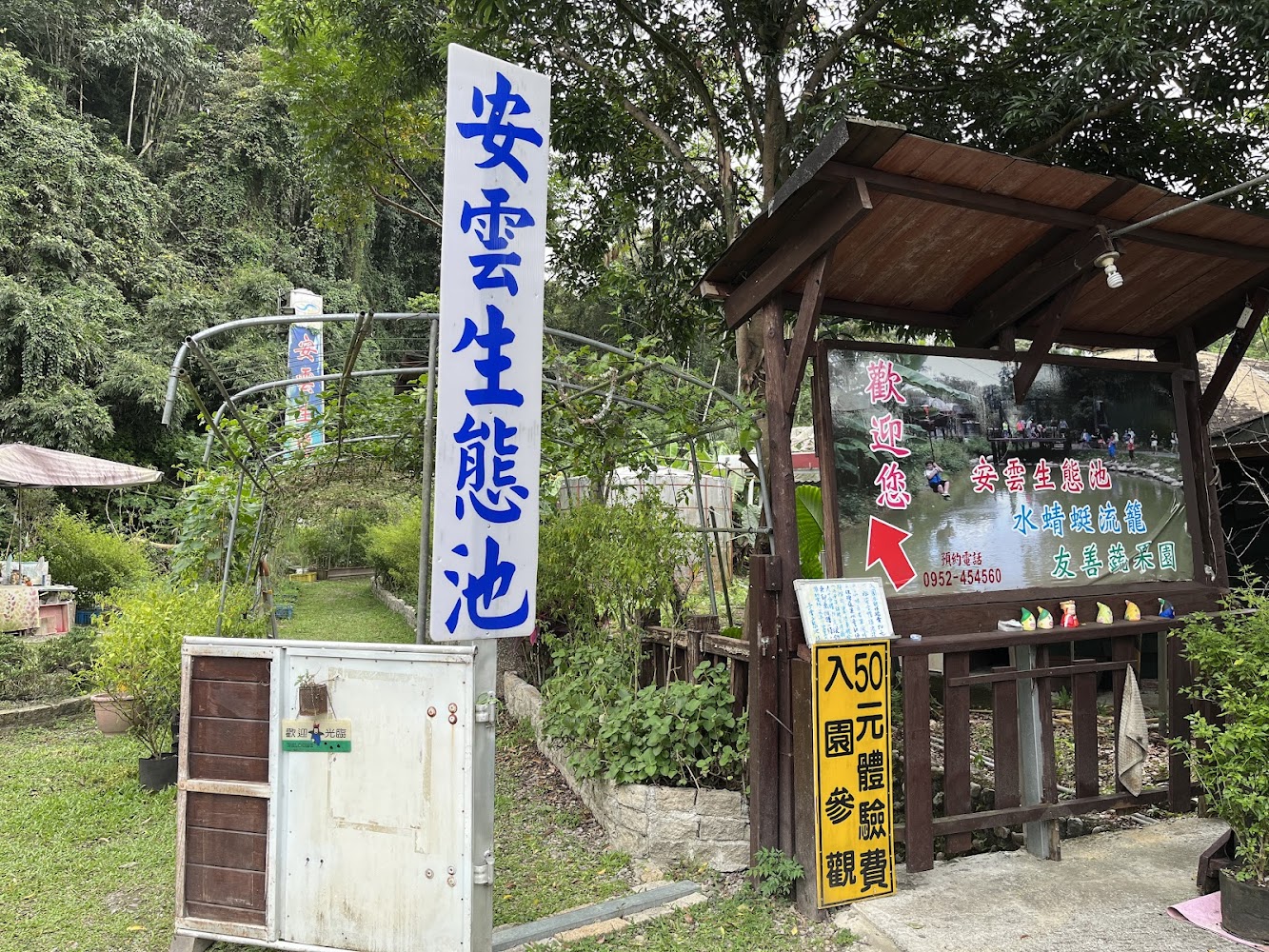 桃米社區安雲生態池入口與體驗資訊