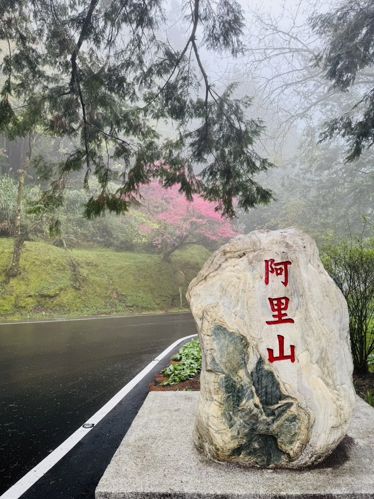 阿里山石碑與山林霧氣景色