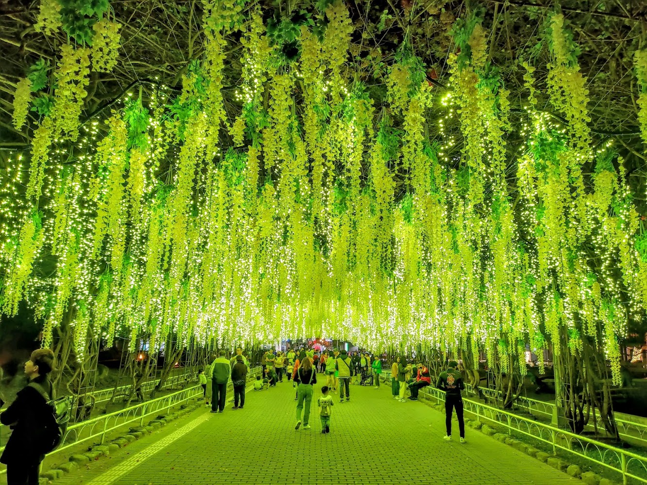 這張圖片展示一條走道,頭頂懸掛著大量的燈飾和垂掛花卉,營造出夢幻的光影隧道,許多遊客在此散步或拍照。