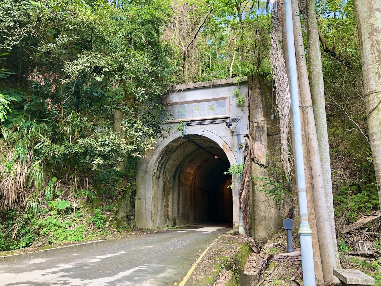 山林間的拱形石砌隧道入口被綠意包圍