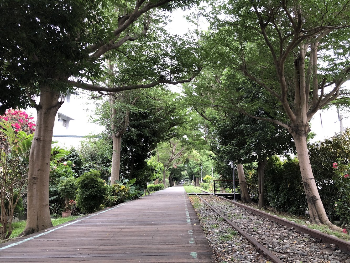 臺東舊鐵道路廊鐵道與步道