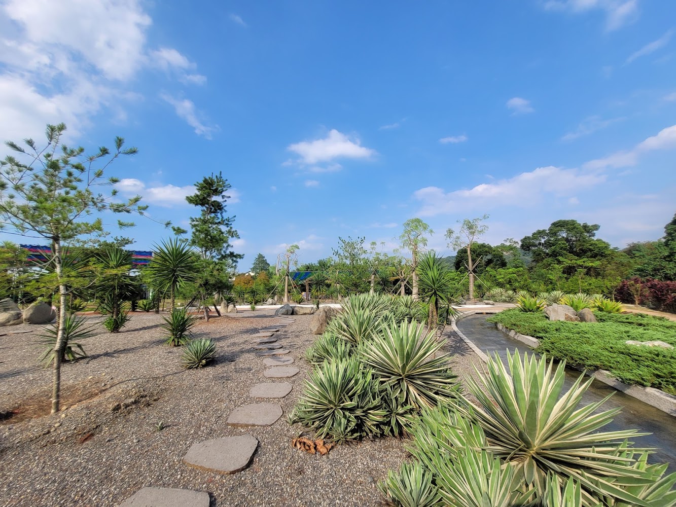 戶外花園景觀有熱帶植物石板步道與小溪