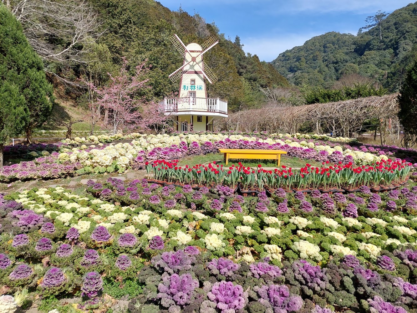 杉林溪花卉中心彩色花園與風車