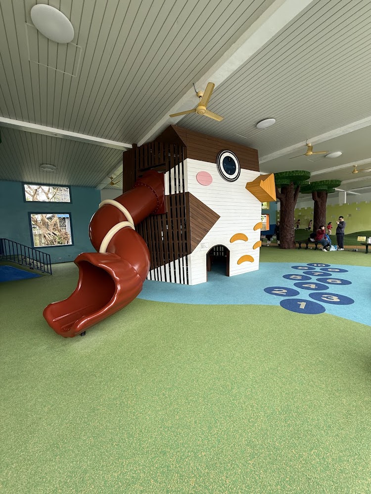 貓頭鷹親子公園室內遊具與溜滑梯