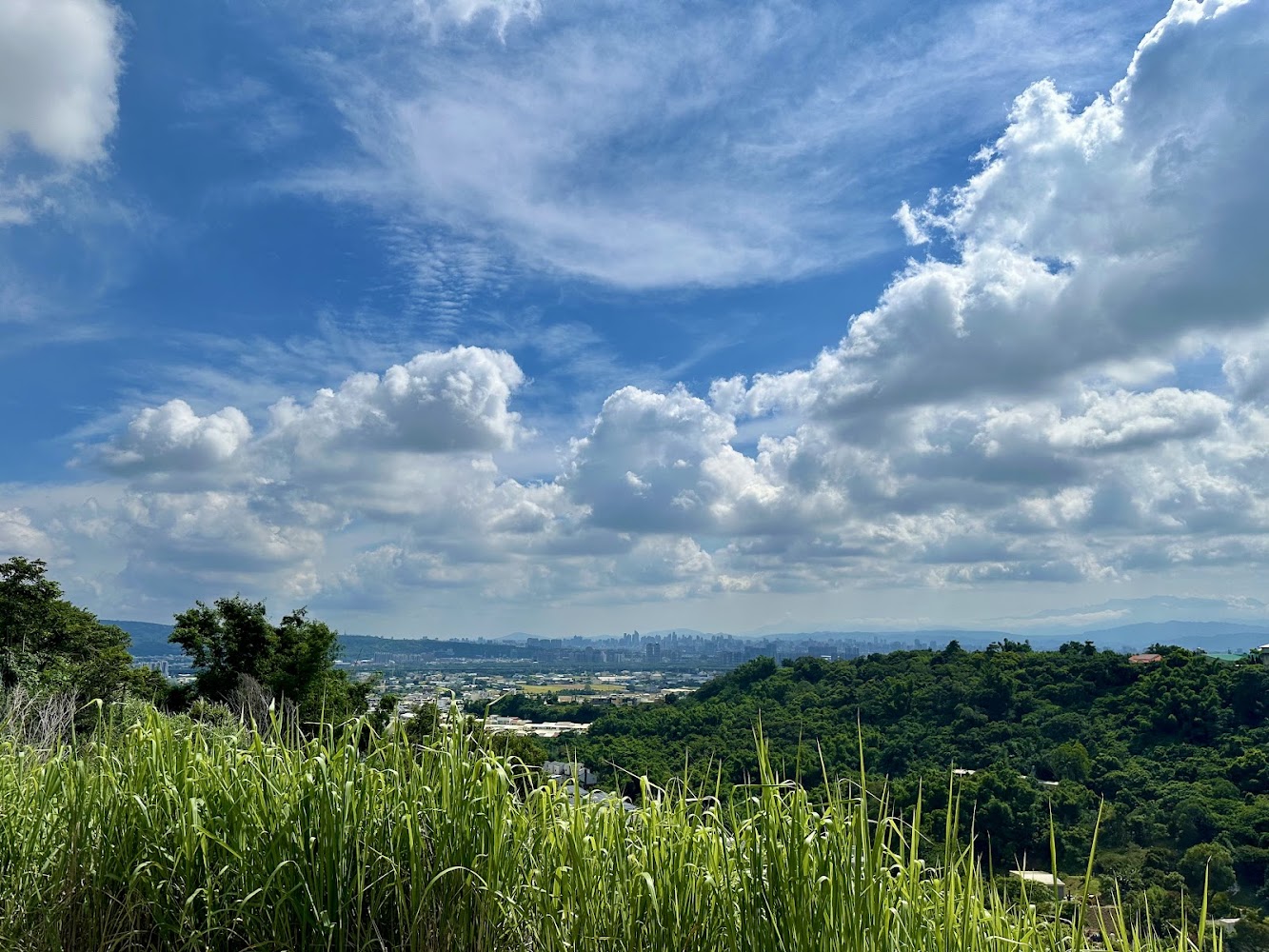 勝地霖園高處視野與城市遠景