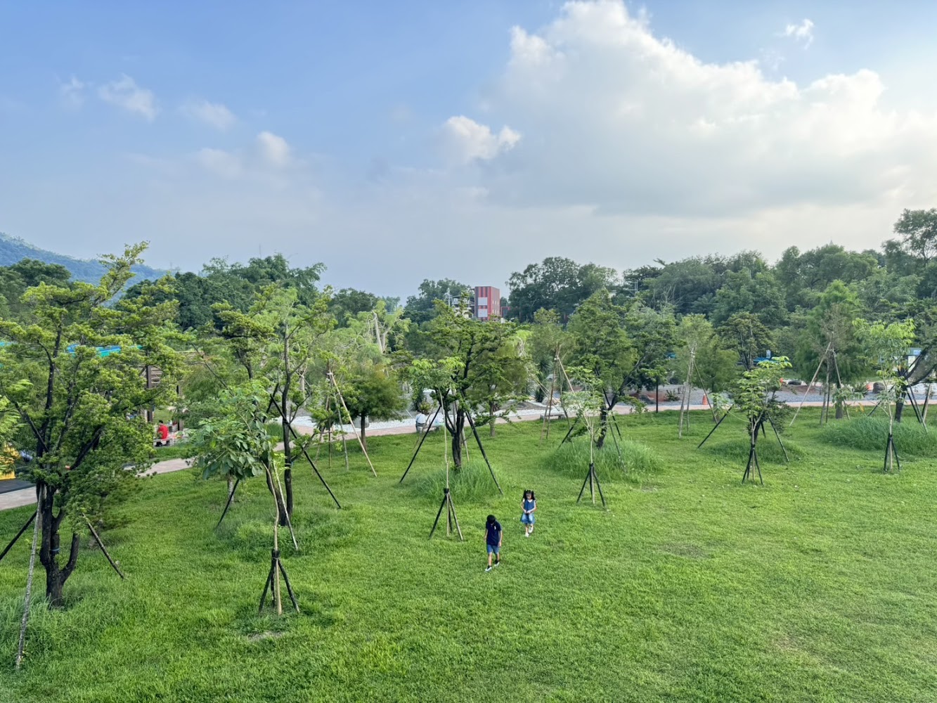 草地與樹林間有孩子玩耍的自然景觀