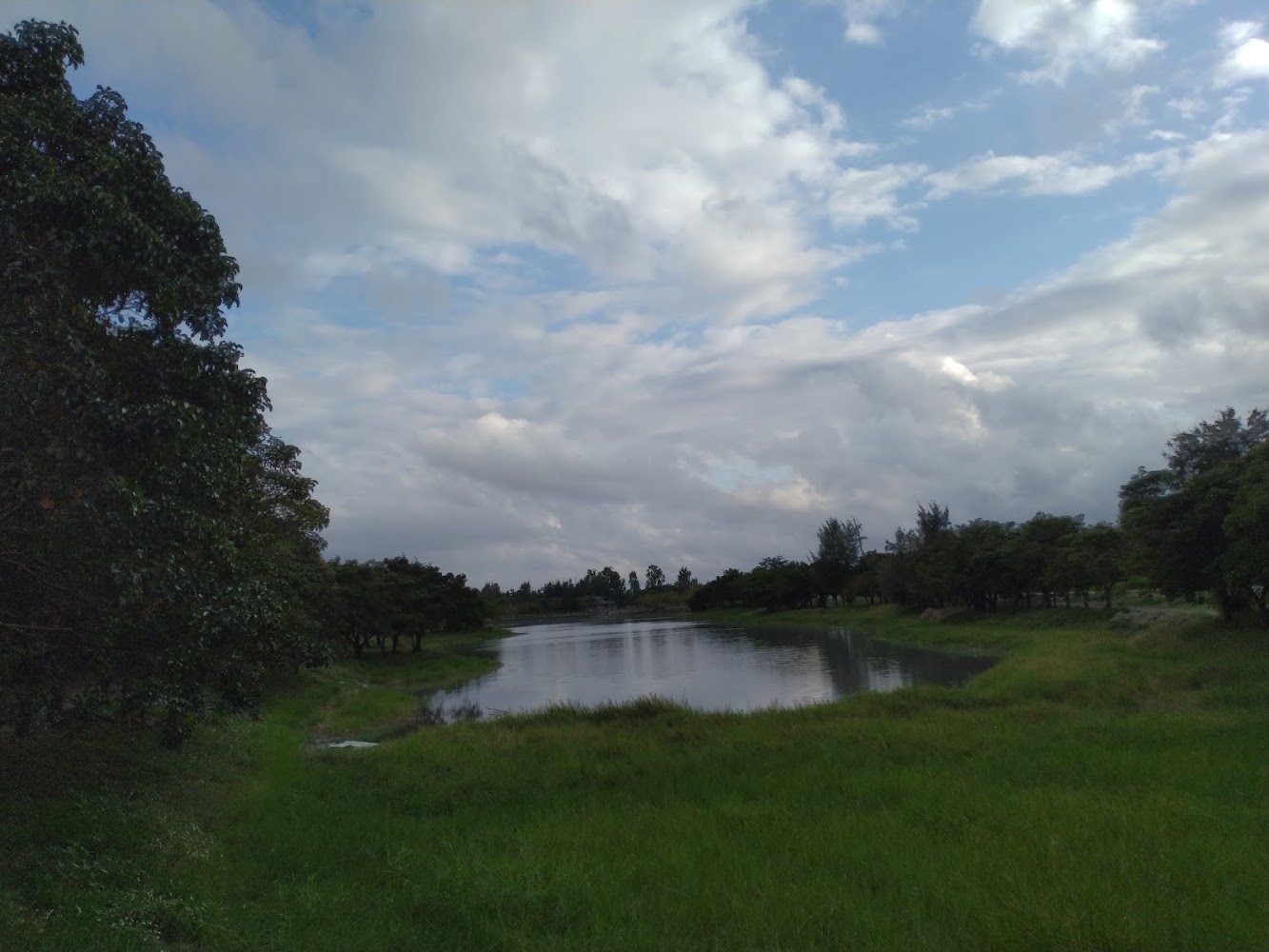 鷺鷥湖湖景與樹林