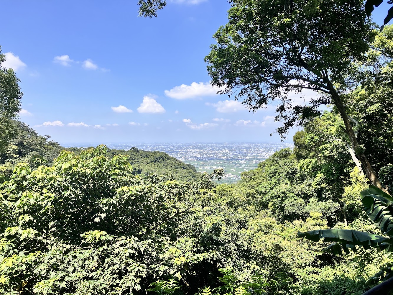 可遠望市景的藤山步道景色
