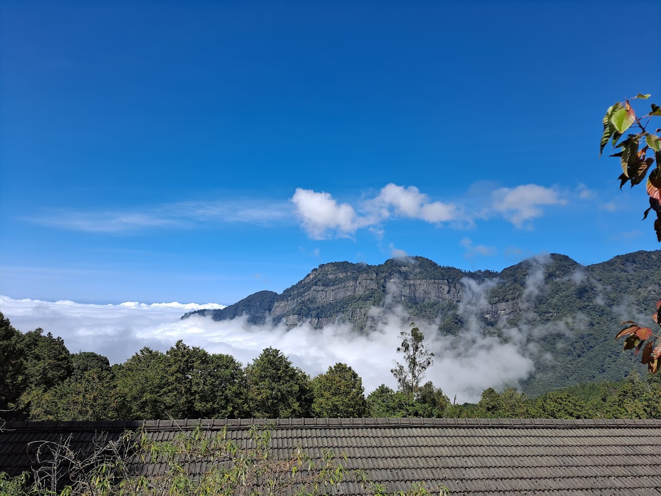 阿里山藍天雲海與山脈景色