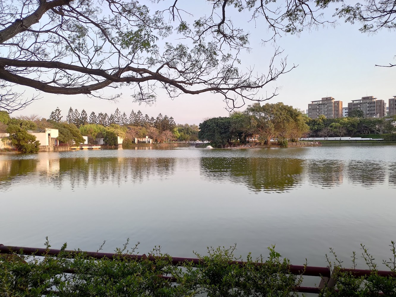 湖面平靜,周圍綠樹與現代建築相映。