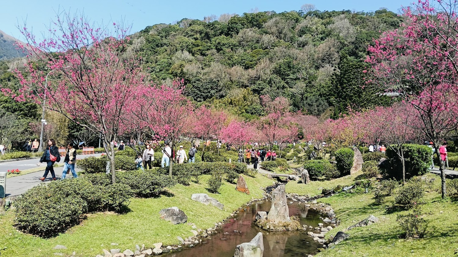 後山公園溪流與花園景色