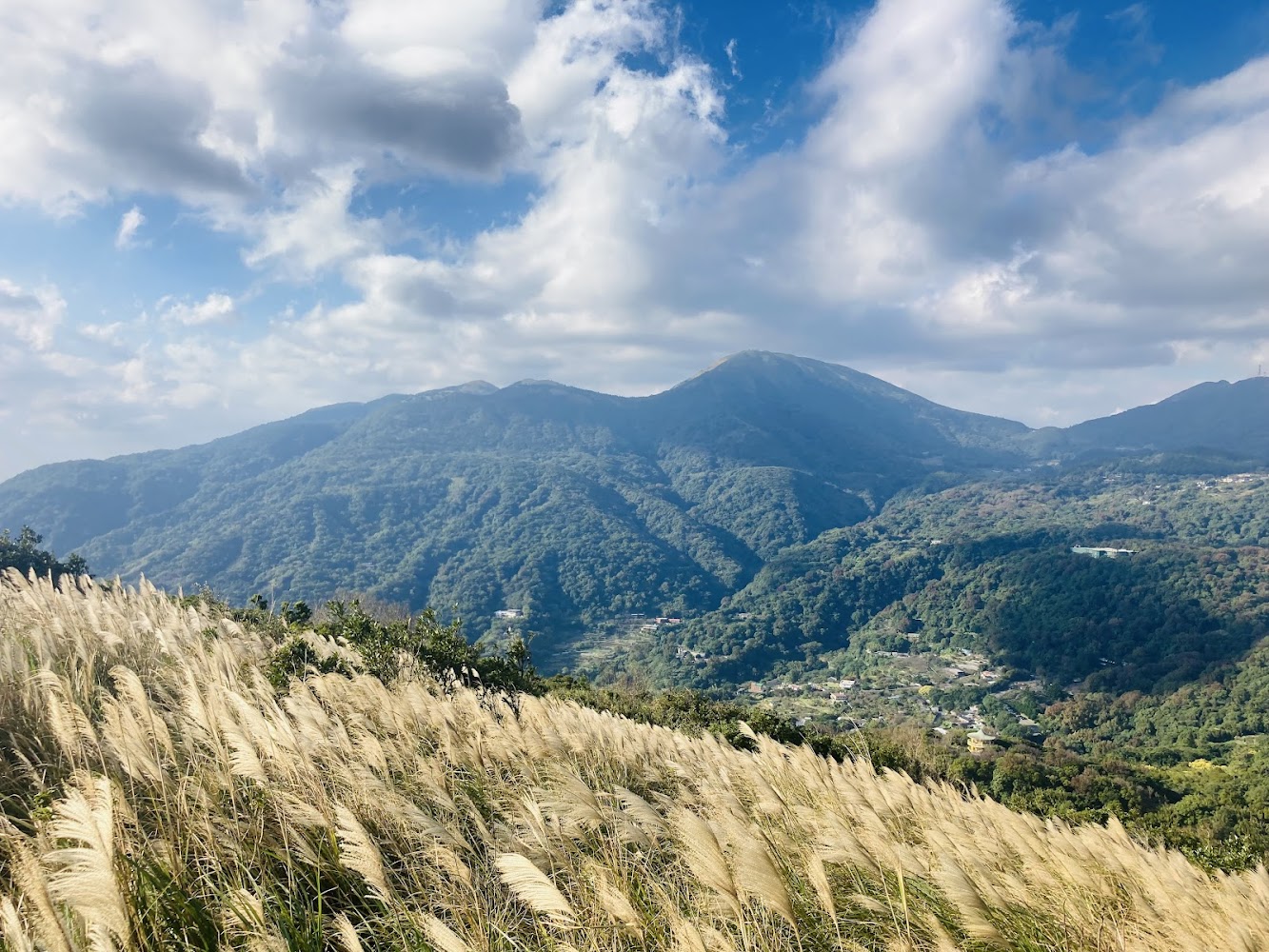 紗帽山步道芒草與山景
