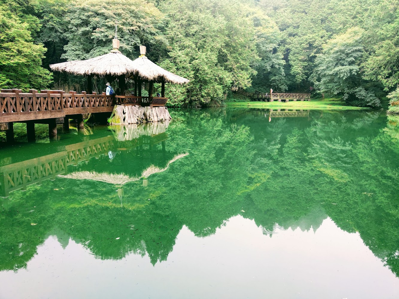 阿里山湖泊與木棧道涼亭倒影
