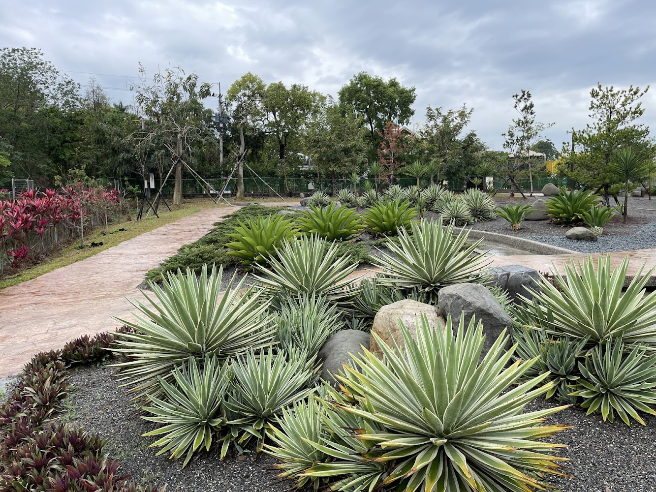 植物園區有多肉植物與仙人掌步道