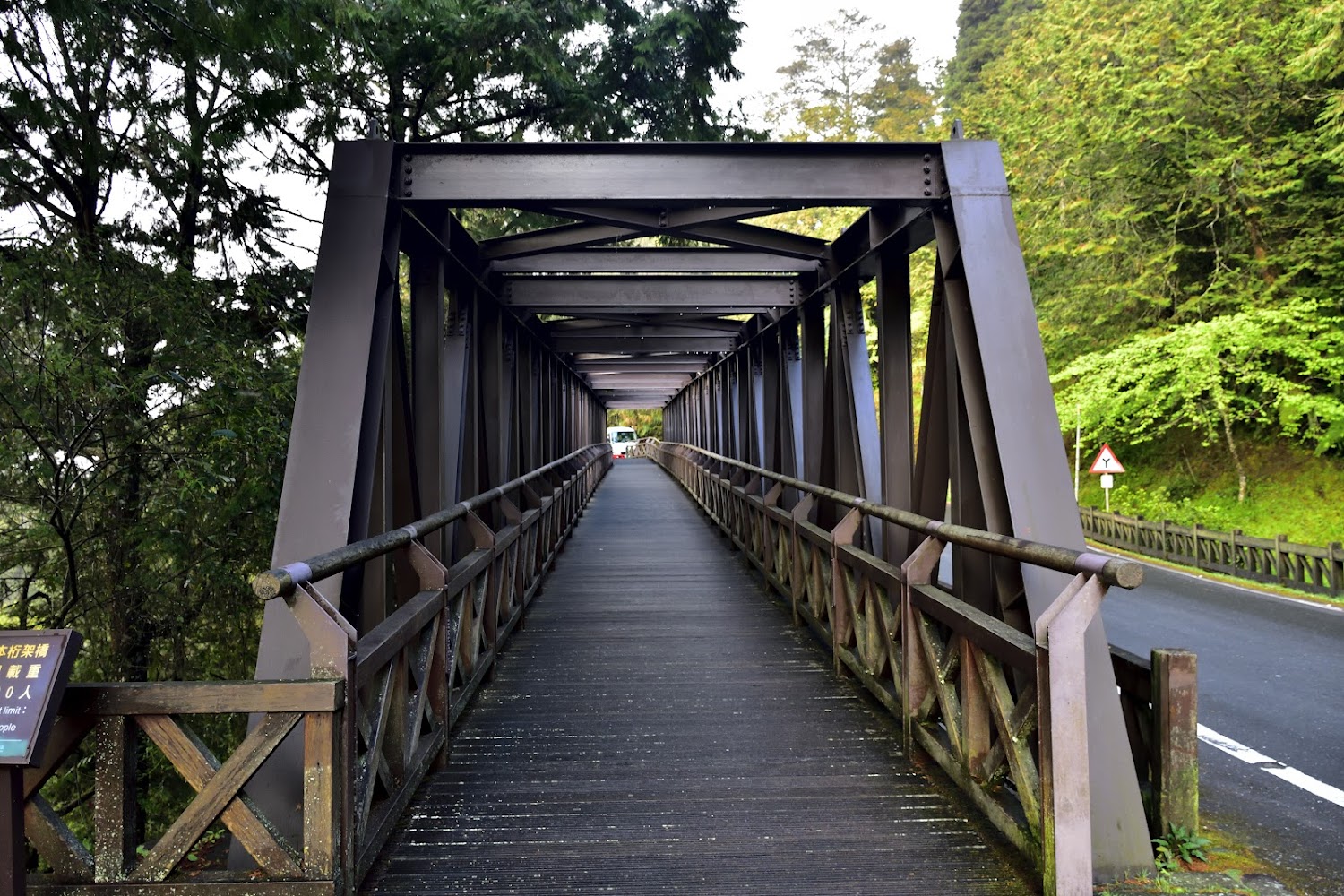 阿里山步道人行橋與森林景觀
