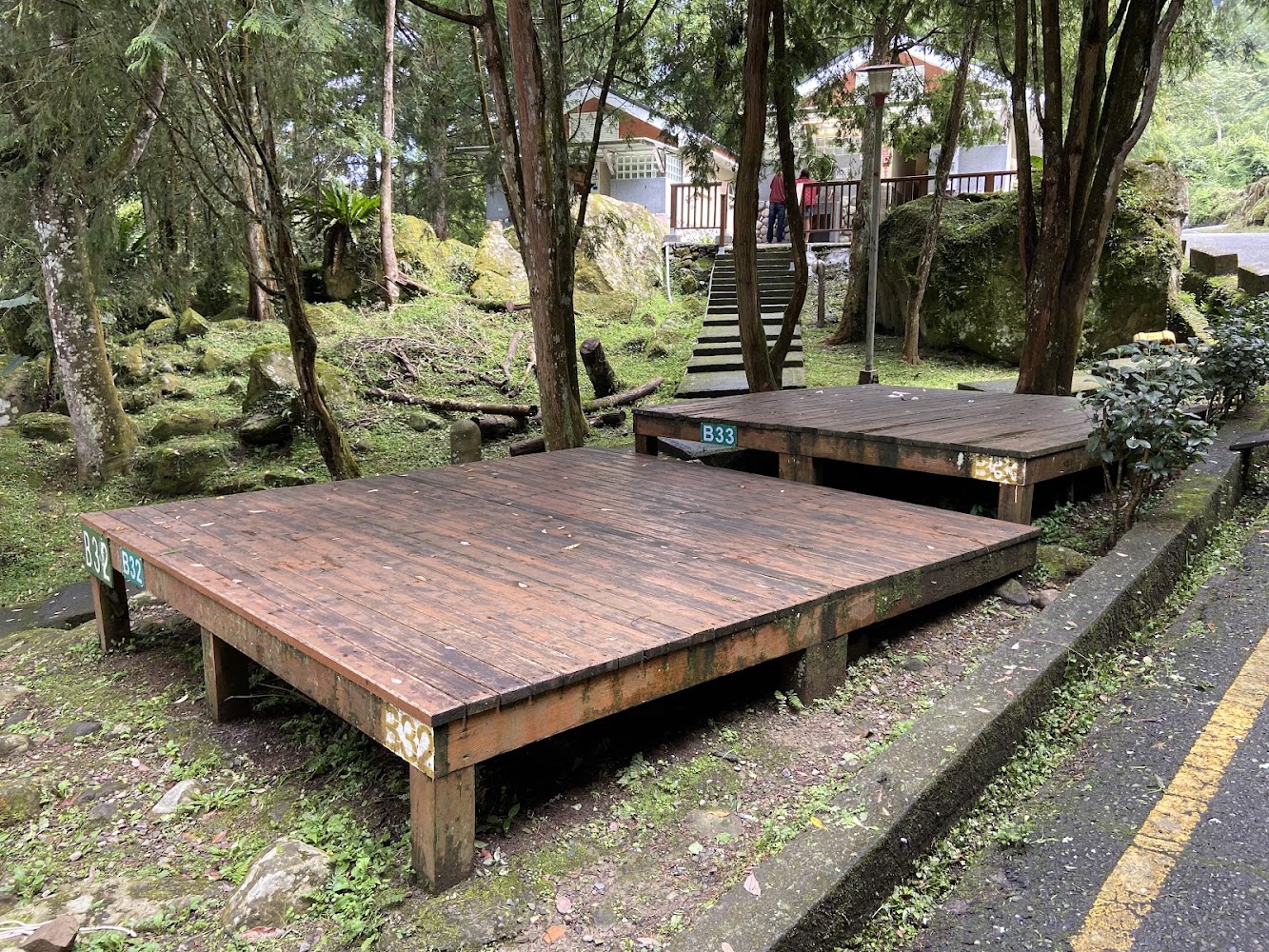 森林中B32與B33木製露營平台與青苔地面