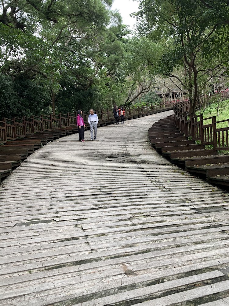 美崙山公園木棧道與森林步道