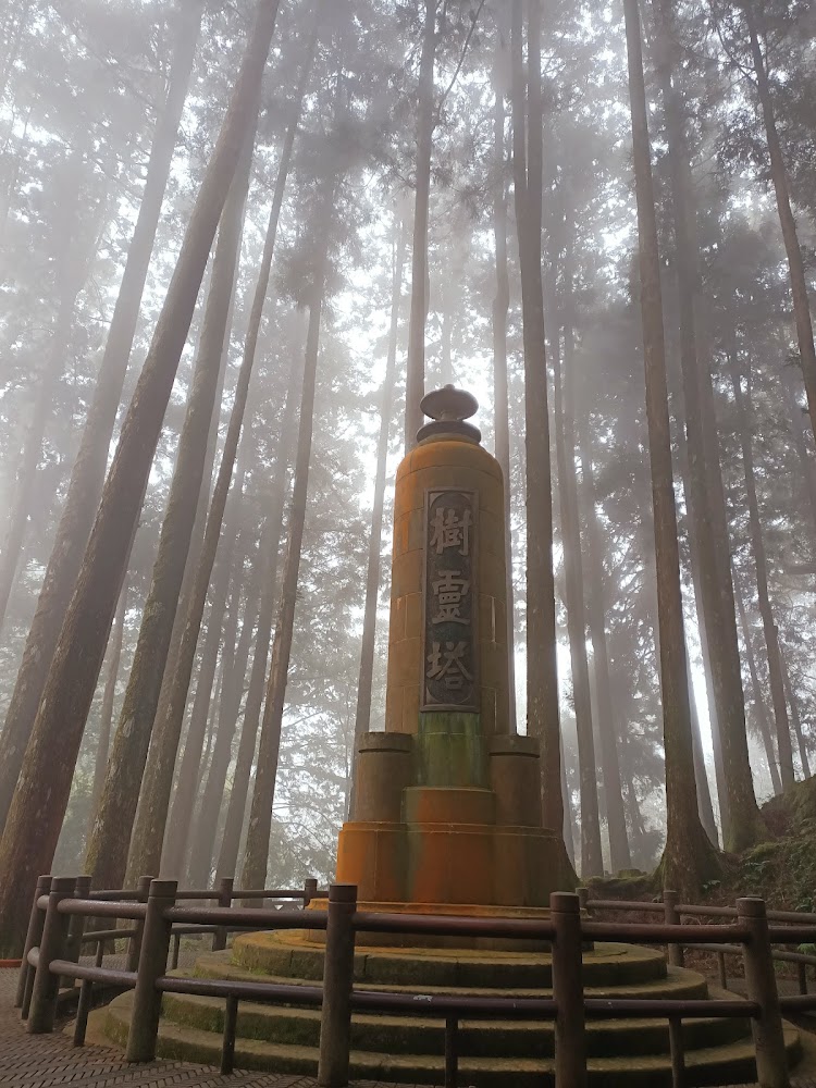 阿里山樹靈塔與霧中森林