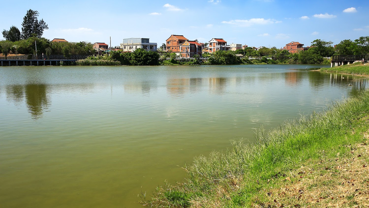 雙鯉湖湖面與草地景緻