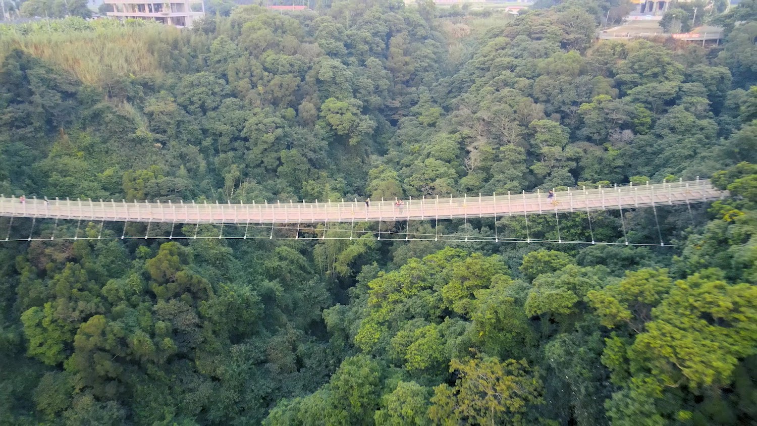 猴探井天空之橋遠景與山林