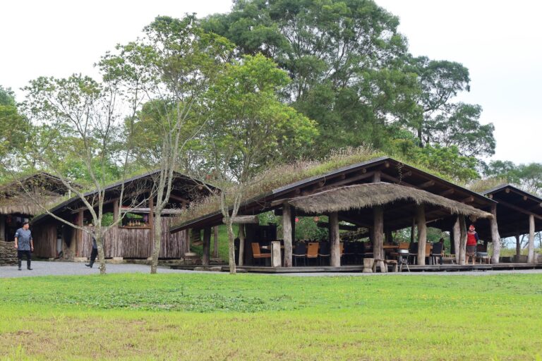 宜蘭大同鄉不老部落泰雅族茅草木造建築群,前有大片綠色草坪,山林環繞