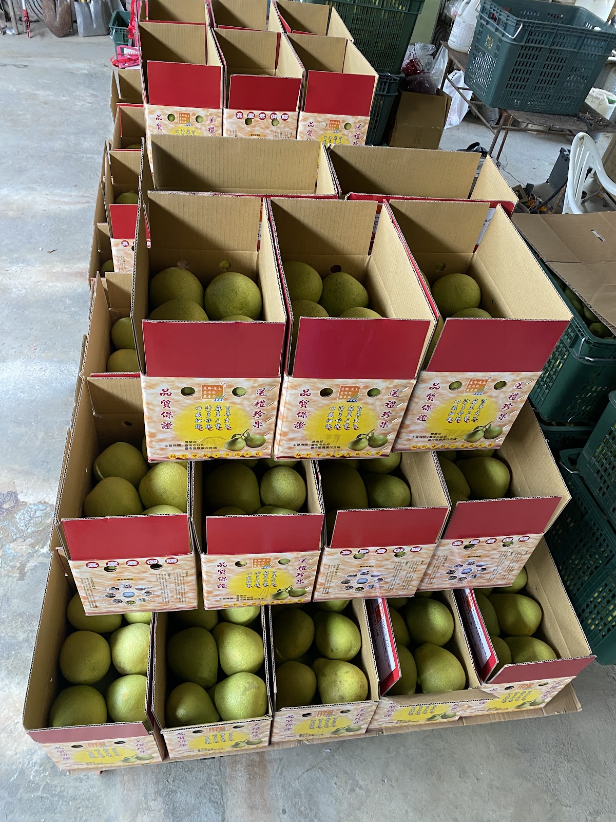 柚兒園盒裝文旦禮盒陳列