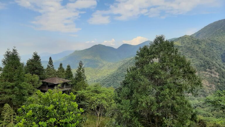 鳳凰谷鳥園木造觀景涼亭遠眺層疊山巒