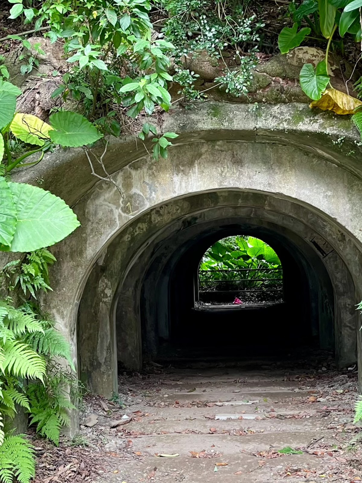 富陽自然生態公園軍事涵洞另一角度