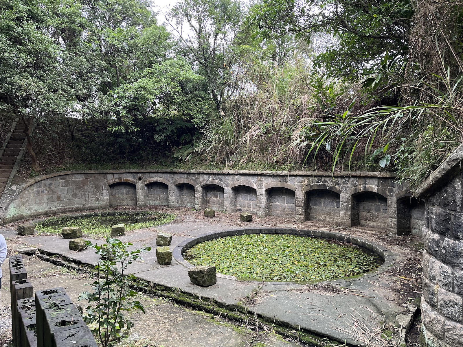 槓子寮砲臺另一處砲座生態池遺跡