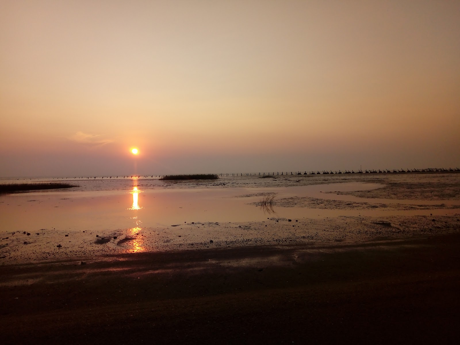 金門田墩海堤退潮夕陽泥灘美景