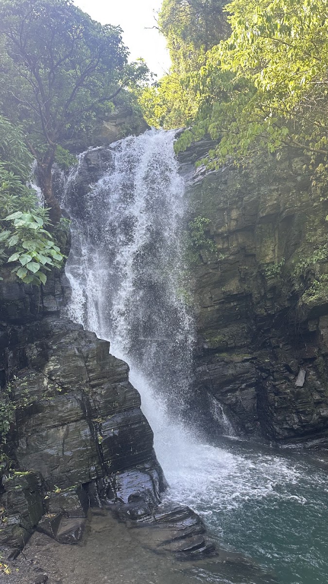 神鷹瀑布近景水花飛濺，沁涼消暑的山林秘境