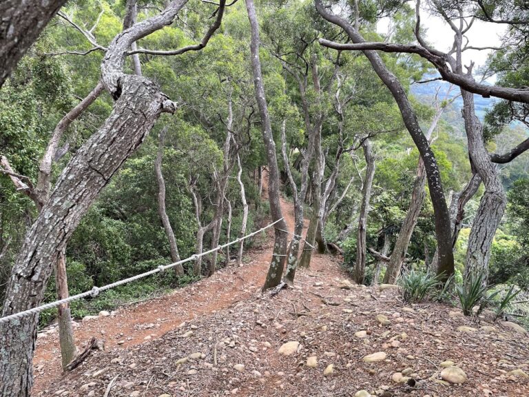 文山步道懶人包 新埔輕鬆健行路線與觀景臺一次看