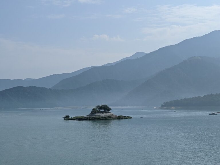 南投新地標懶人包:10個必訪景點一次看,從天空之橋到半山夢工廠