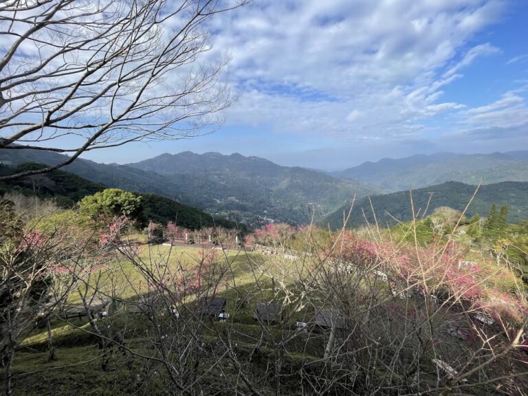 左岸涼山露營區深度開箱：五峰山景第一排的靜謐露營體驗