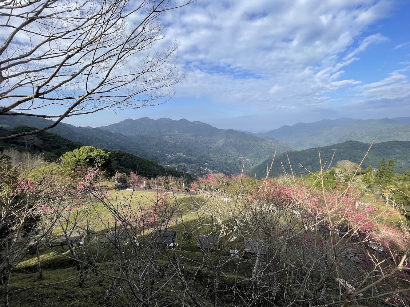 左岸涼山露營區深度開箱：五峰山景第一排的靜謐露營體驗