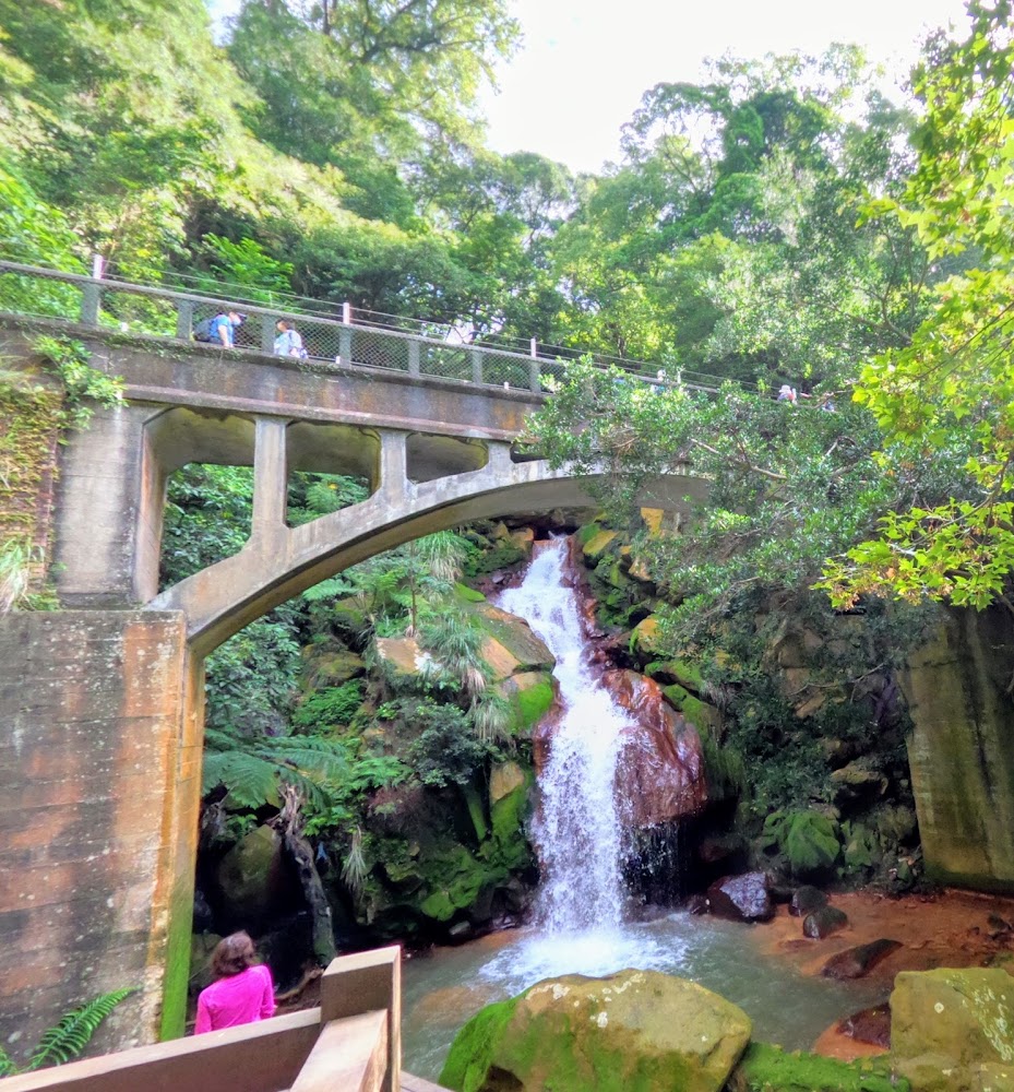 陽明湧泉深度開箱 北投藍寶石泉秘境導覽、預約方式與步道體驗全攻略