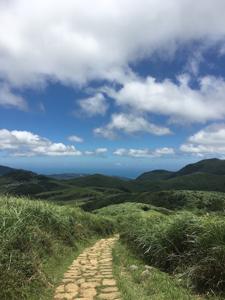 冷擎步道深度攻略｜從冷水坑走到擎天崗的親子級森林步道體驗