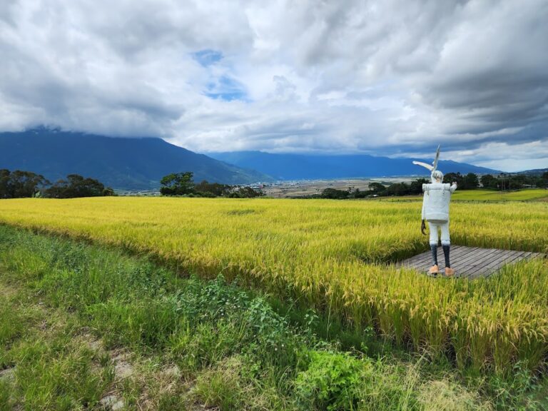 台東池上藝文之旅懶人包：8個景點美食一次收進最美稻浪與人文風景